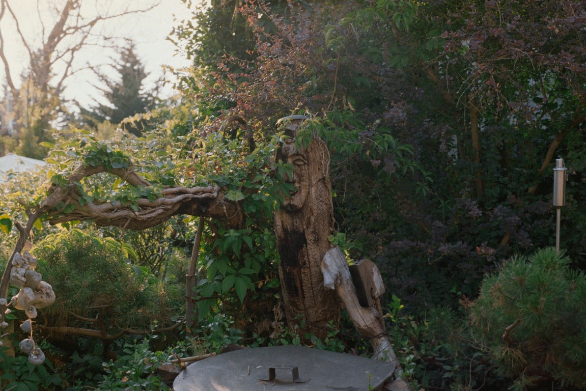 the old man in my grandparents garden