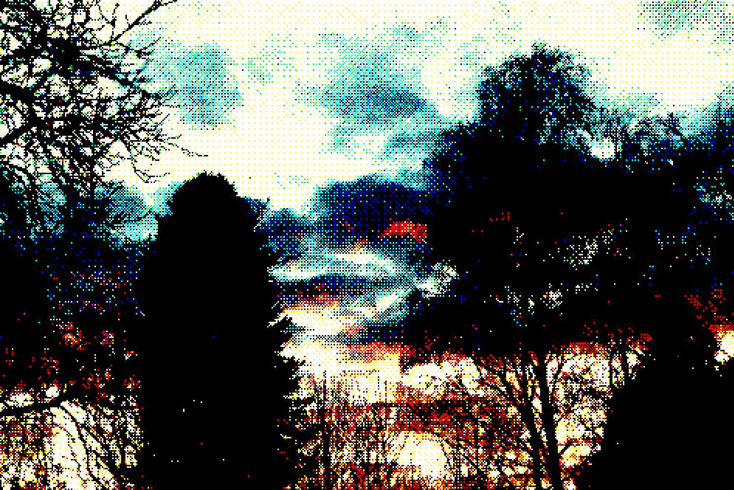 sunset or sunrise, who remembers?